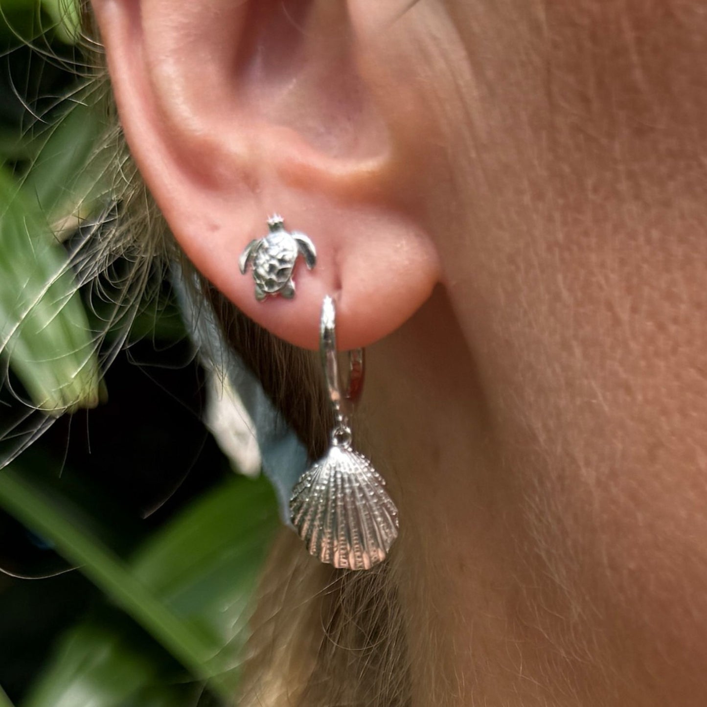 Turtle Studs