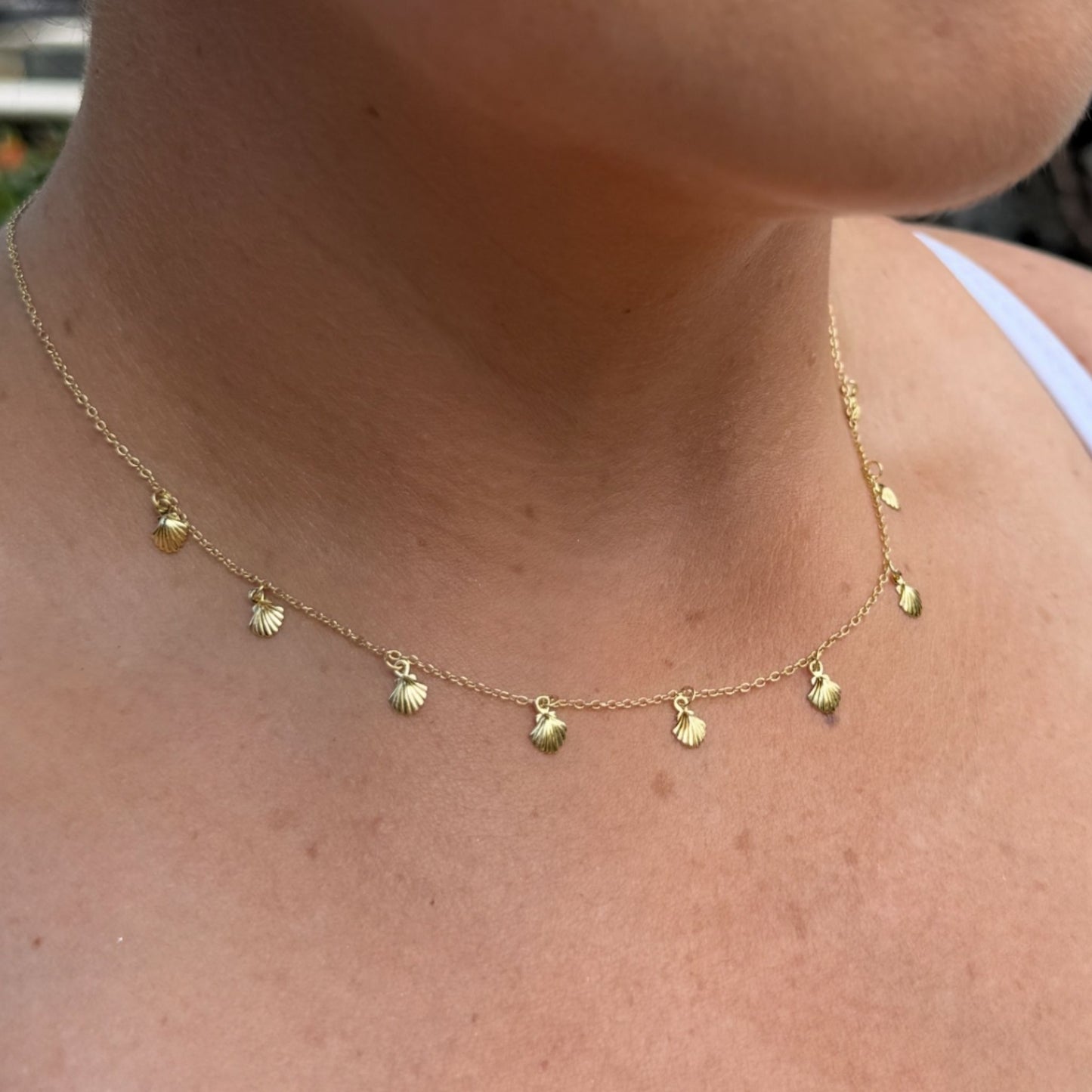 Clamshell Droplet Necklace
