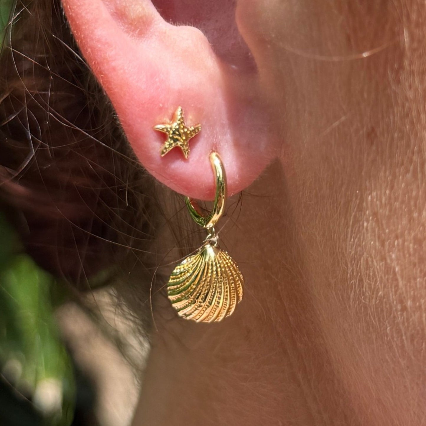 Starfish Studs