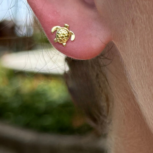 Turtle Studs