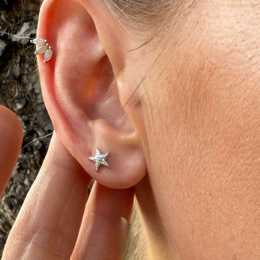 Starfish Studs