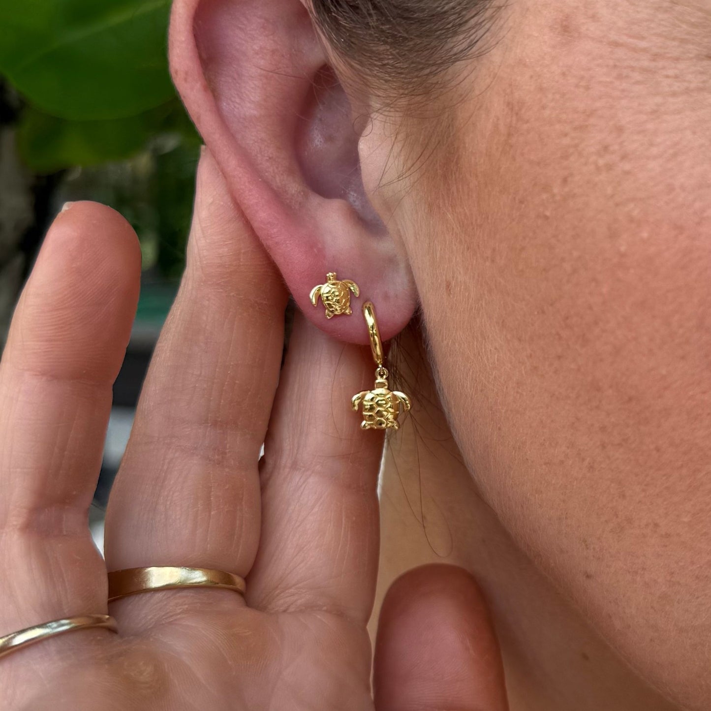 Turtle Studs